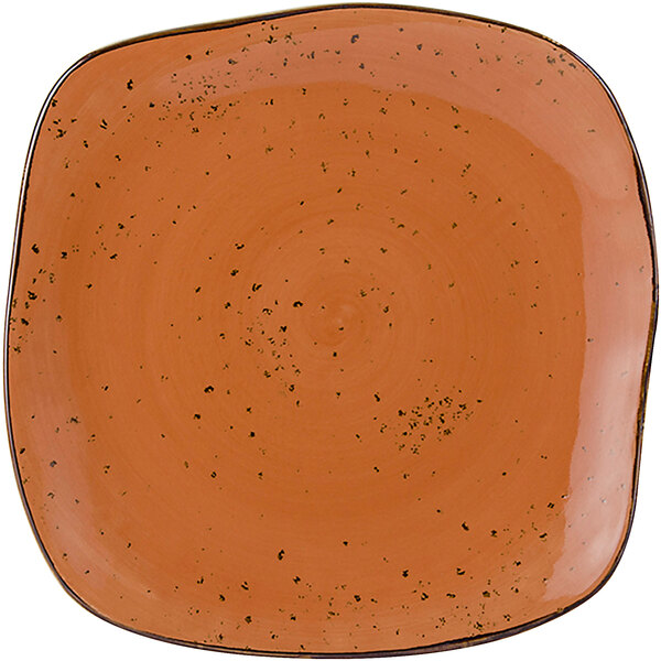 A Tuxton TuxTrendz square china plate with black specks.