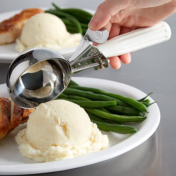 A hand holding a white Hamilton Beach metal scoop over a plate of food.