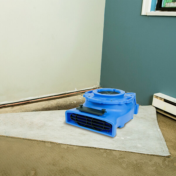 A blue B-Air Ventlo-25 low profile air mover on a rug.