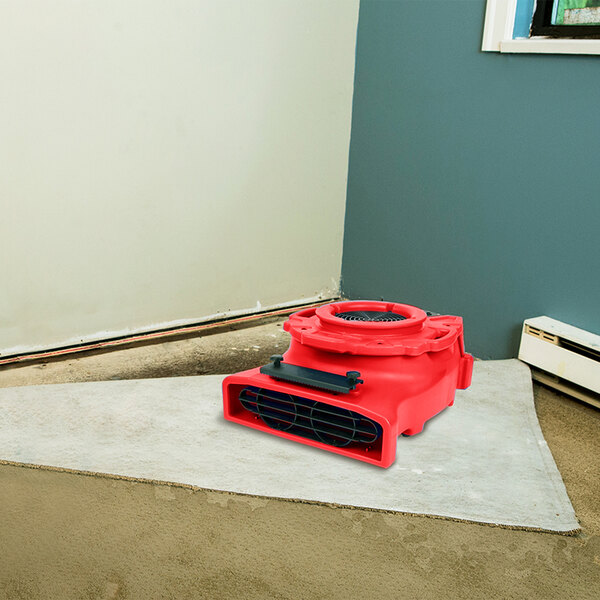 A red B-Air Ventlo-25 air mover on a rug in a room.