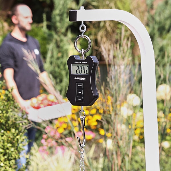A man using an AvaWeigh digital hanging scale to weigh fruit.