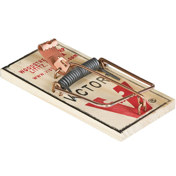 A Victor Pest metal mouse trap with a wooden base and metal spring.