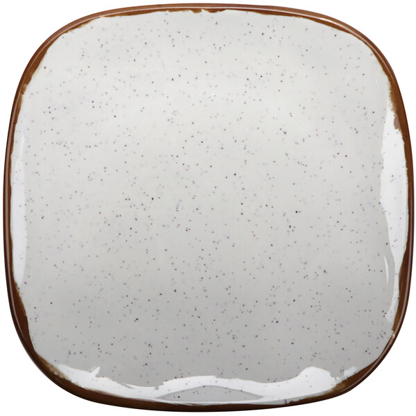 A white square GET Rustic Mill melamine plate with brown specks.
