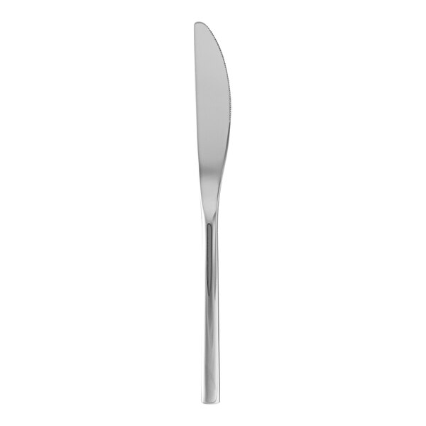 A Fortessa Arezzo stainless steel dessert knife with a silver handle on a white background.