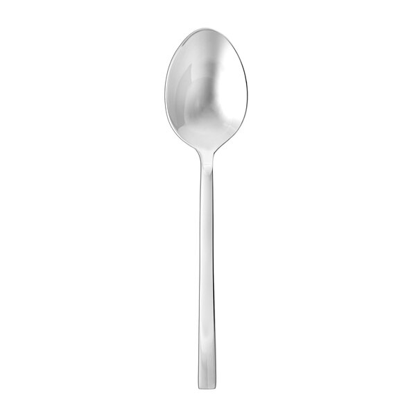 A Fortessa stainless steel serving spoon with a long handle.