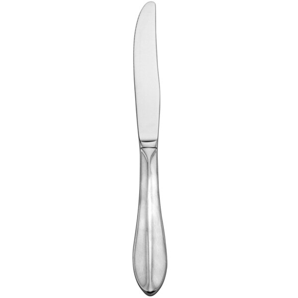 A silver Delco Rhodes stainless steel dinner knife with a long handle.