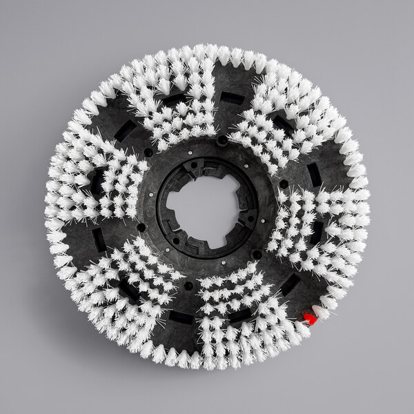 A circular object with white and black bristles.