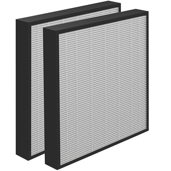Two black and white AeraMax HEPA air filters.