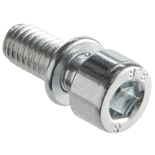 A stainless steel screw with a hex head used on a Backyard Pro MT-31 Meat Tenderizer.