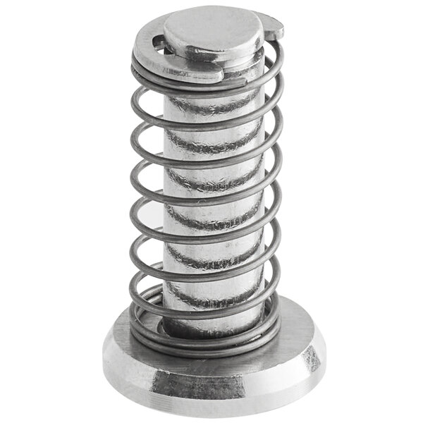 A metal spring with a round base.
