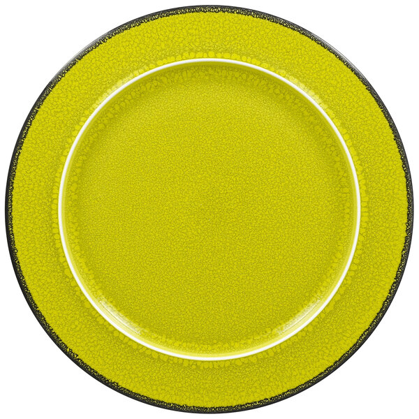 A green porcelain plate with a black rim.