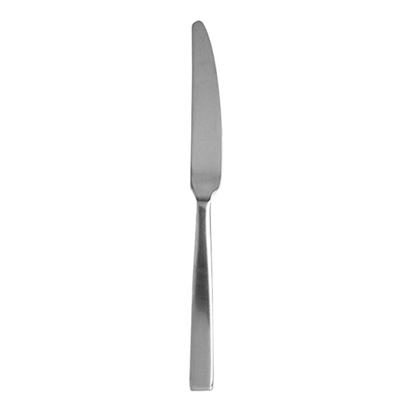 A Fortessa Spada stainless steel dessert knife with a solid handle.