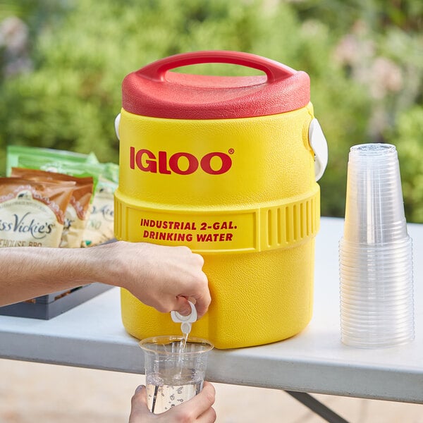 A person pouring water from an Igloo yellow insulated beverage dispenser into a plastic cup.