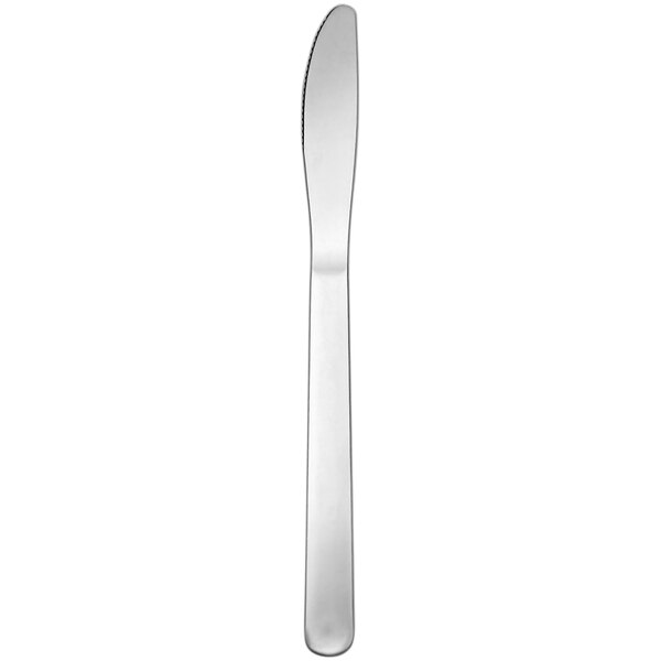 A Delco Windsor III stainless steel dinner knife with a silver handle on a white background.