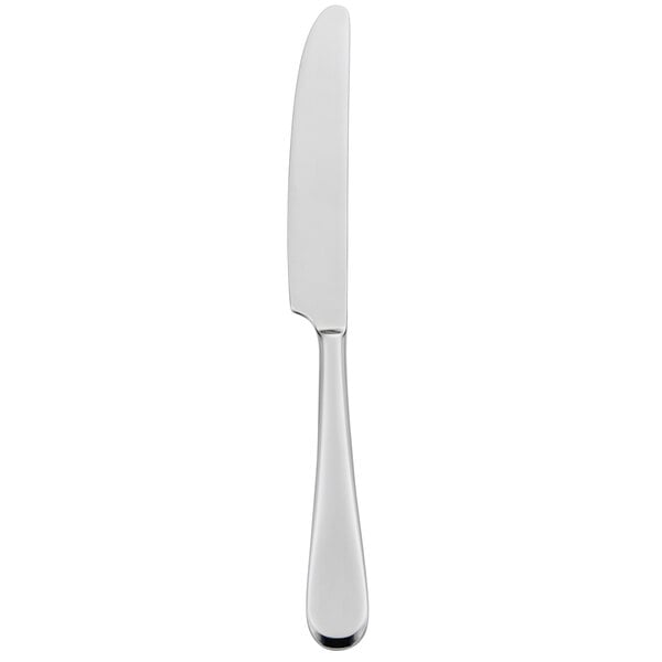 A Oneida Lumos stainless steel dinner knife with a silver handle.