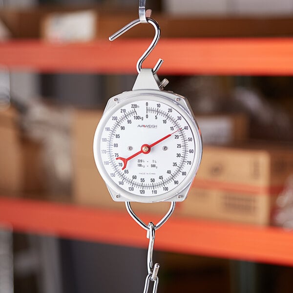 An AvaWeigh industrial hanging scale on a hook.