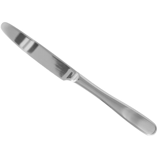 A close-up of a Walco Vacanza stainless steel table knife with a white background.