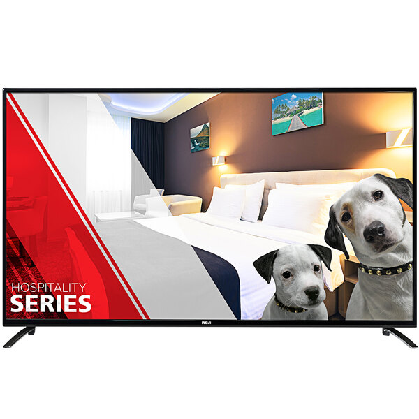 The screen of an RCA LV Series 65" LED Pro:Idiom Hospitality HD Television showing two dogs next to a bed.