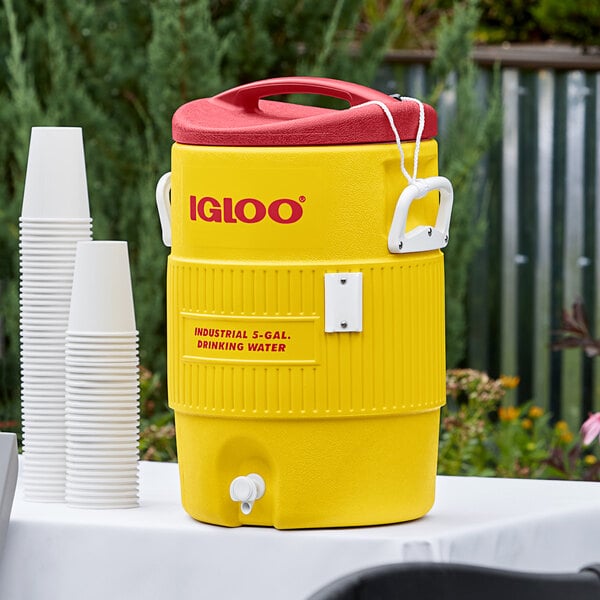 A yellow Igloo insulated beverage dispenser with a white cap and cups.