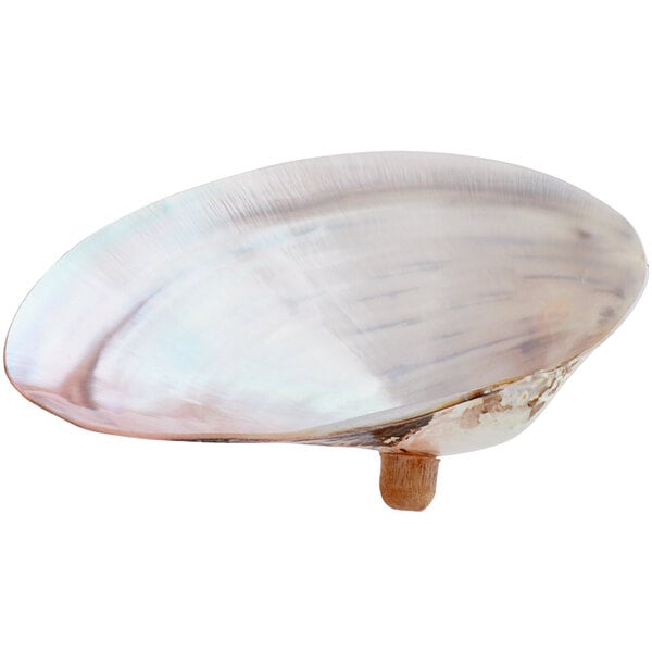 A Mother of Pearl serving dish with a wooden handle.