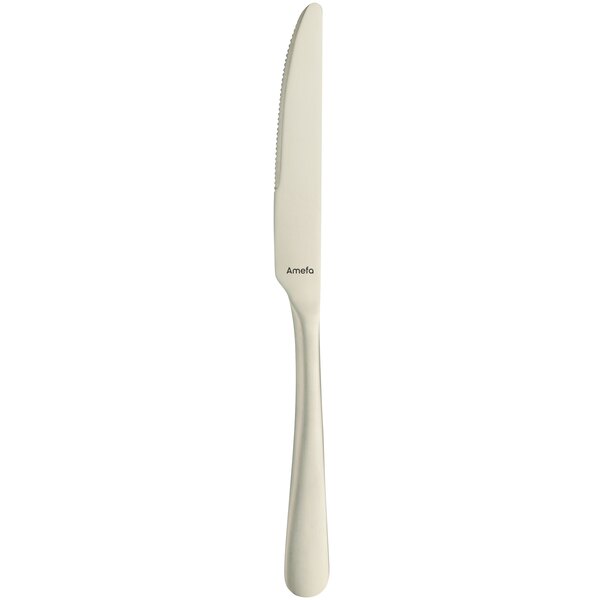 An Amefa Austin stainless steel table knife with a white handle.