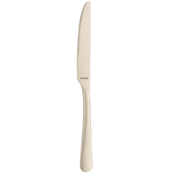 An Amefa Austin stainless steel dessert knife with a white handle.