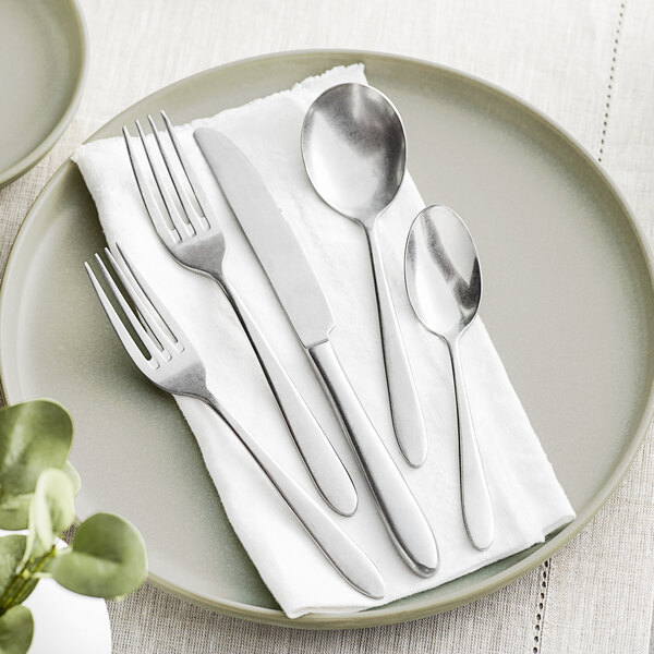 A plate with an Acopa Pangea stainless steel flatware set on it.