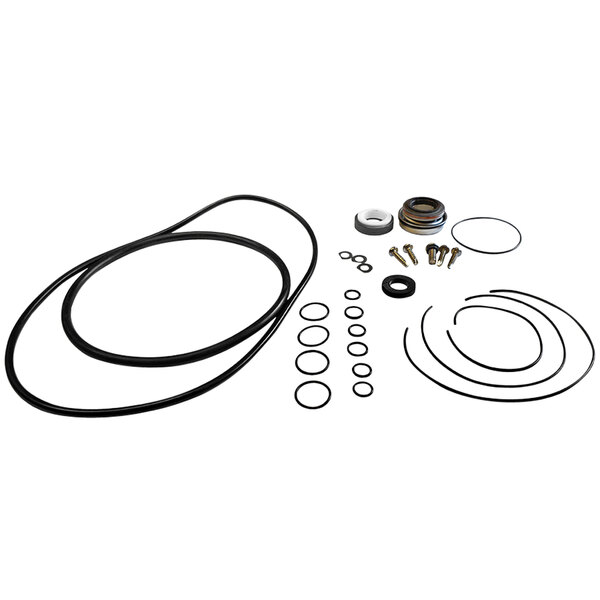 A Pacer Pumps rebuild kit for EPDM elastomers with black rubber rings and other items.