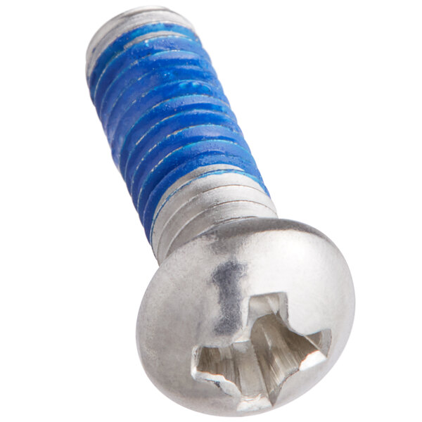A close-up of a silver and blue Waterloo faucet cap screw.
