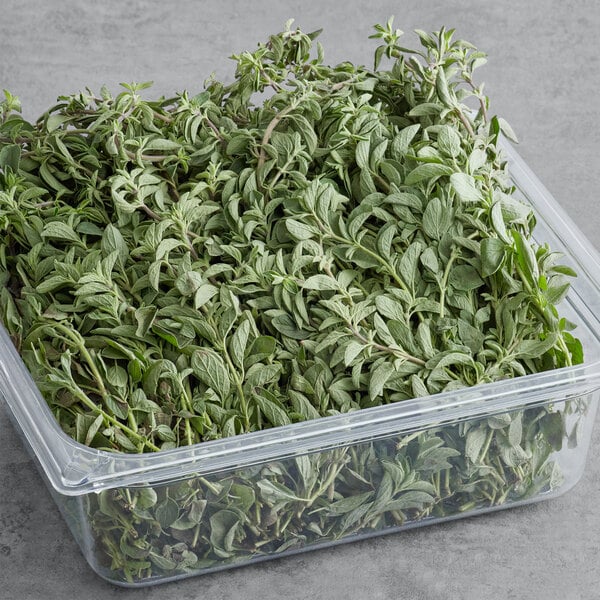 A container of fresh oregano leaves.