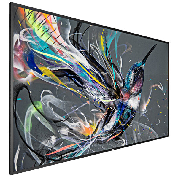 A Philips Q-Line digital signage display showing a painting of a colorful hummingbird.