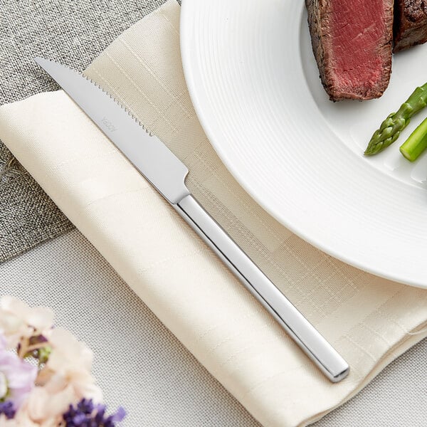 A piece of meat on a plate with an Acopa stainless steel steak knife.