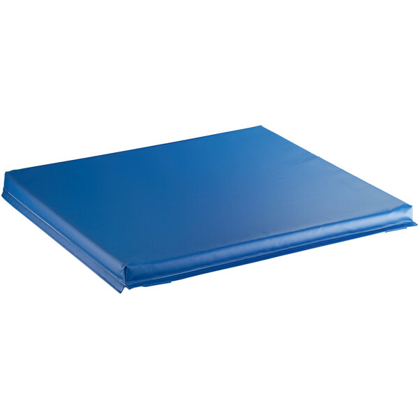 A blue square vinyl pad for a dry ice container.