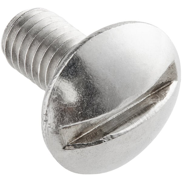 A stainless steel screw with a metal head.