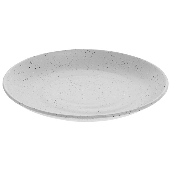 A white plate with speckled specks.