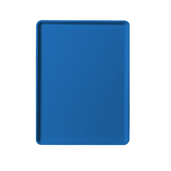 A blue rectangular tray on a white background.