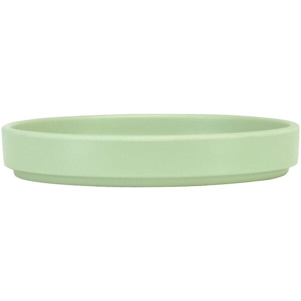 A white melamine plate with a green interior and white rim.