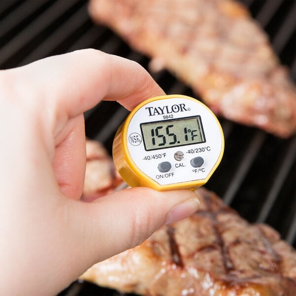 A person using a Taylor digital pocket probe thermometer on a grill.