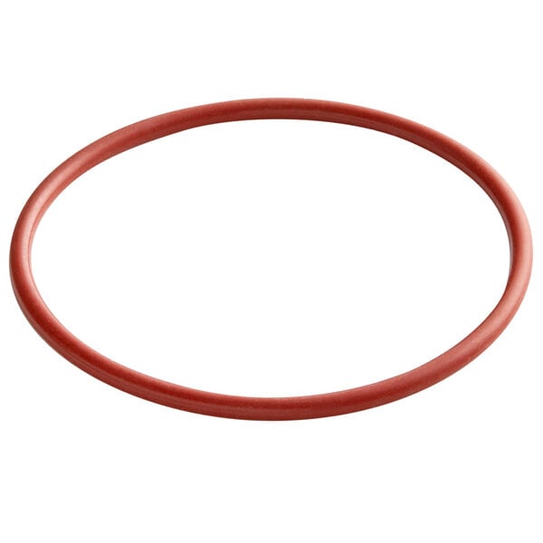 A red rubber O-ring.