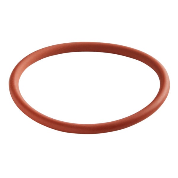A small orange rubber o-ring.