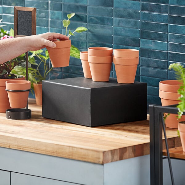 A hand holding a plant in a MasonWays black plastic display filler cube.