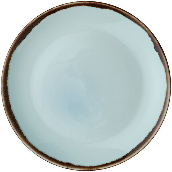 A white china plate with a turquoise rim and brown edges.