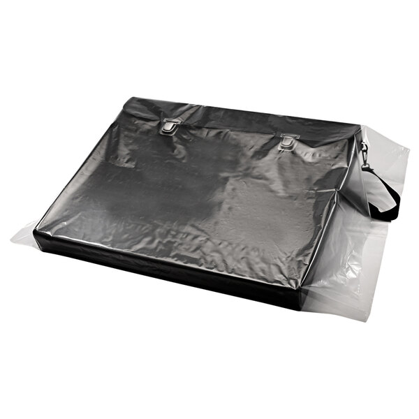 A clear flat poly bag with clipping path.