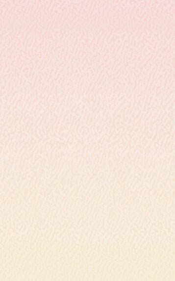 White menu paper with a close-up of a pink and white shell design.