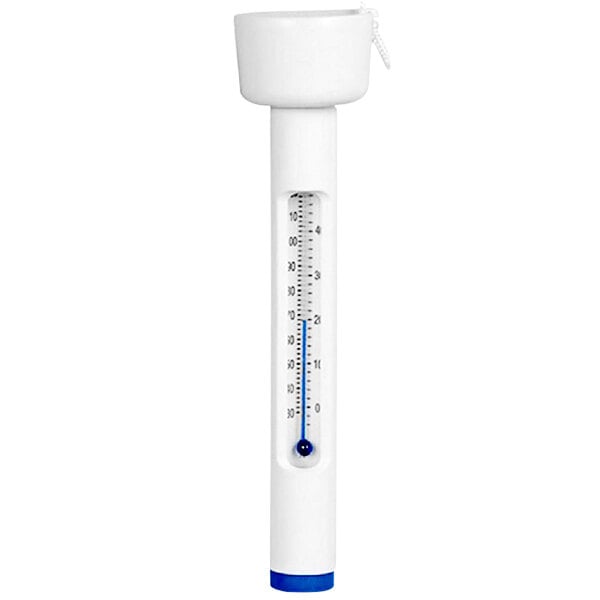 A white thermometer with a blue cap and blue line.