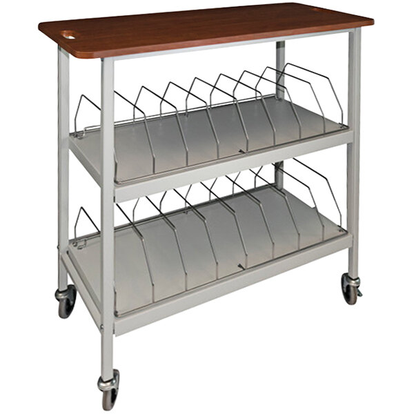 An Omnimed light gray metal and wood chart rack on wheels.