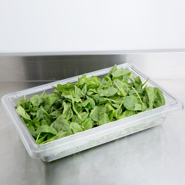 A clear plastic Cambro food storage container filled with spinach leaves.