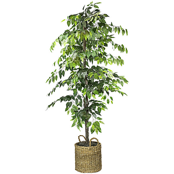 An artificial ficus tree in a basket with handles.