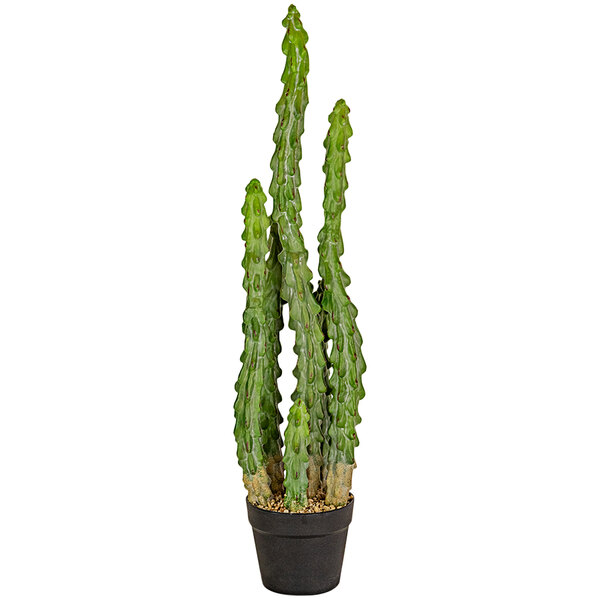 A close up of a green Kalalou artificial cactus in a black pot.