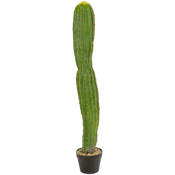 A Kalalou artificial single trunk cactus in a black plastic pot.